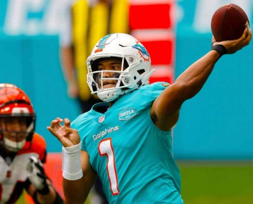 Dolphins win Bengals