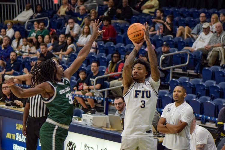 Stephenson and Dibami shine as Panthers pound Dolphins