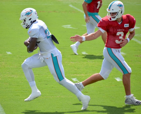 Dolphins purge will lead to progress