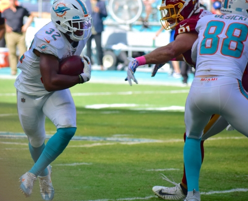 Miami Dolphins running backs show promise in defeat