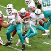 Dolphins Win Cardinals