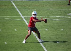 Dolphins training camp