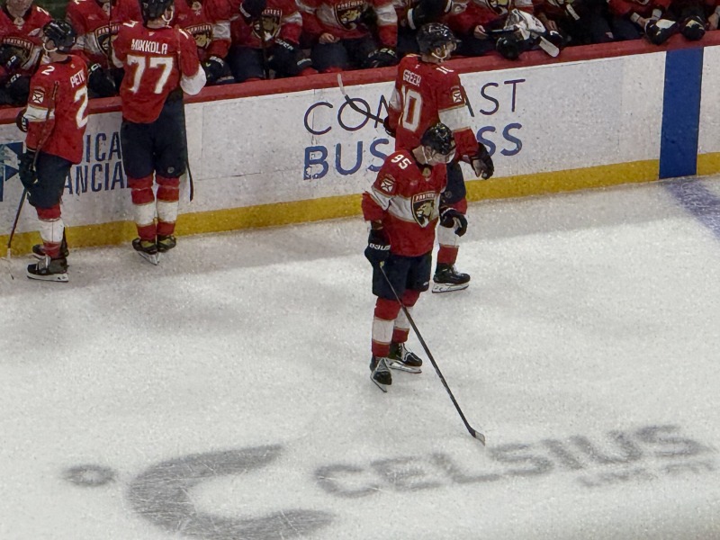 Vilmanis Scores First NHL Goal, Panthers Fall to Mammoth