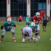 Dolphins offensive line