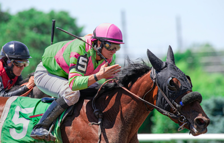 Horse Racing 101 for Newbies: Understanding Horse Racing Odds and More