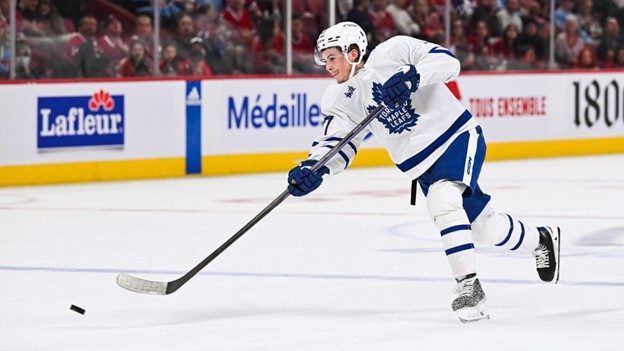 Impact of Ryan Tverberg on the Marlies and What to Expect This Season