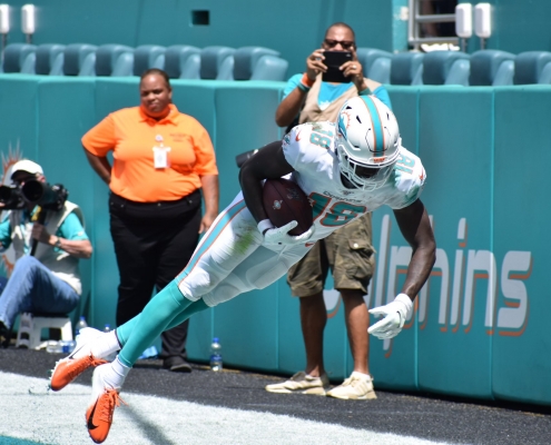 Rookie receiver Preston Williams provided the Dolphins with a small victory against Baltimore
