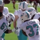 Miami Dolphins celebrate after Myles Gaskin's touchdown run against the 49ers.