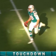 Dolphins tigh tend Mike Gesicki scored two touchdowns before suffering an injury.
