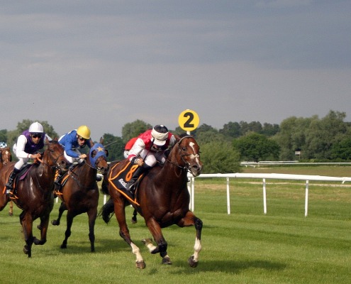 3 Strategies You Need to Know to Bet on Horse Racing