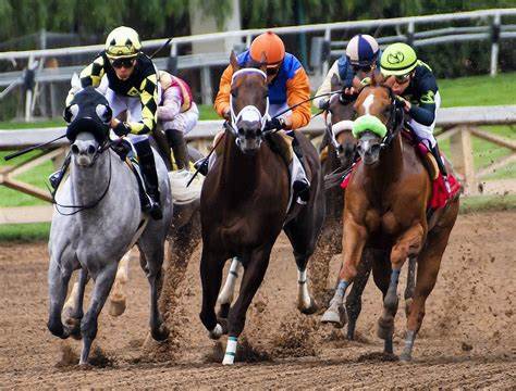5 Fun Facts About the Breeders' Cup