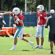 Ryan Fitzpatrick, left, and Josh Rosen are still vying for the starting QB job with the Dolphins. (Photo/Tony Capobianco)